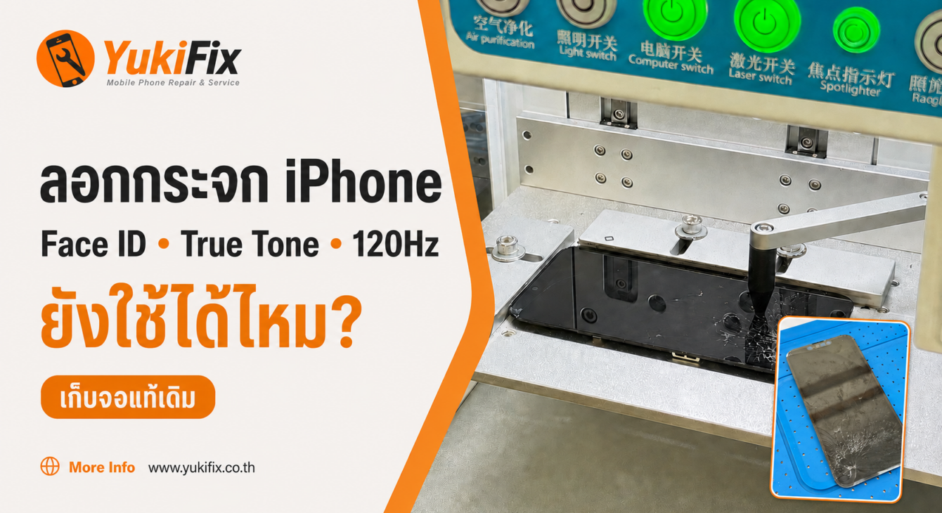 ลอกกระจก iphone ลอกกระจก iphone